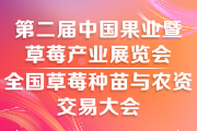 2025第二届中国合肥果业暨草莓产业展览会|全国草莓种苗与农资交易大会